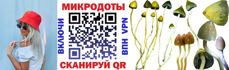купить наркотик  Сычёвка  Галлюциногенные грибы Psilocybe 